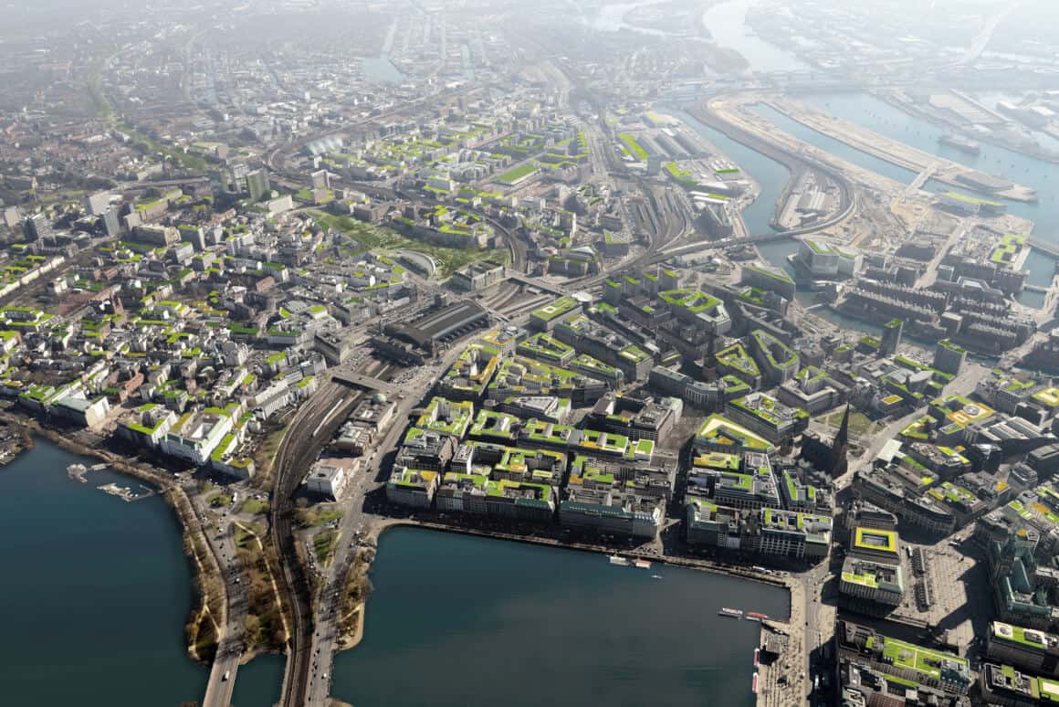 Treecare hero background showing sustainable tree protection